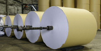 Offset Printing Paper Rolls in a Printing Factory