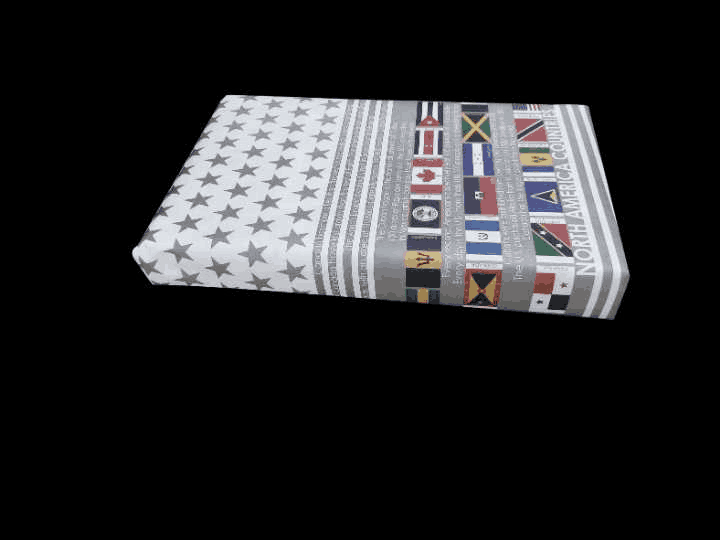 North America Countries and Flags Gift Wrapping Paper