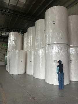 Facial Tissue Jumbo Rolls
