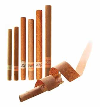 cigarette paper name Cigarette Paper Colour and HTL | Pura Barutama | Kudus, Indonesia