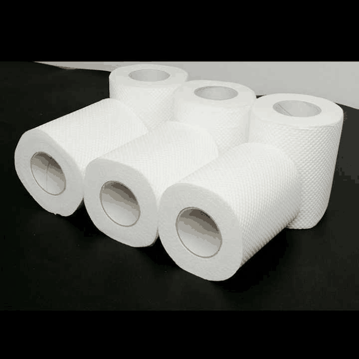 Wholesale Embossed Toilet Paper Rolls