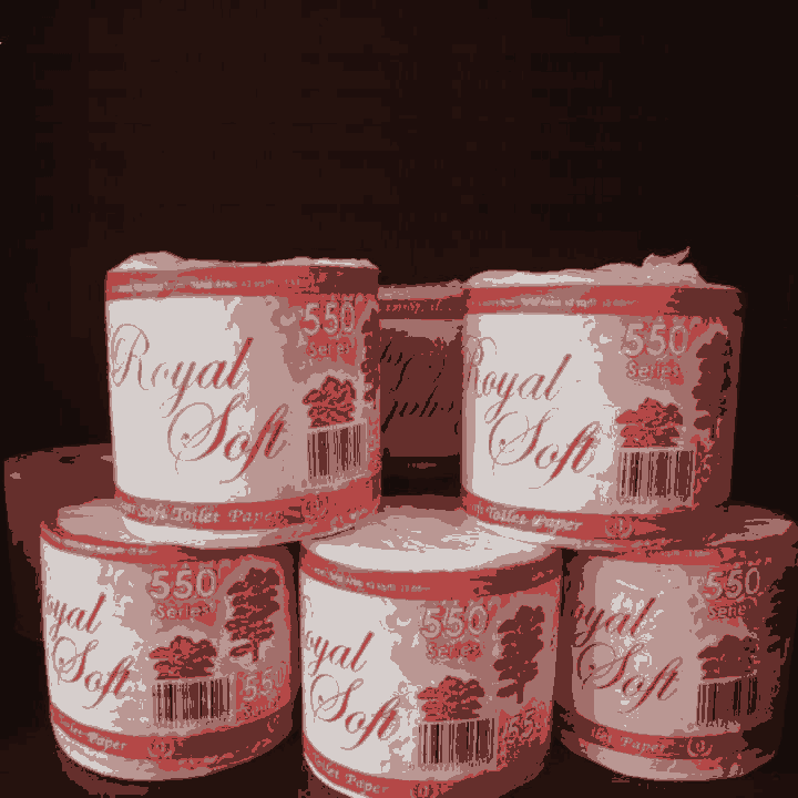 Wholesale Virgin Pulp Toilet Tissue Paper Rolls