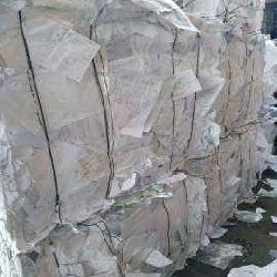 SWL (Soft White Ledger) Very High Quality