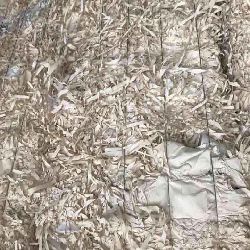 WBN (Unprinted Newspaper)