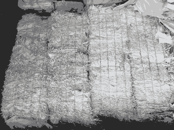 WBN (Unprinted Newspaper)