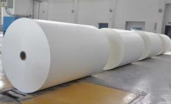 Thermal Label Paper Jumbo Rolls