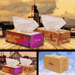 TULIN 100 Facial Tissue Cartons