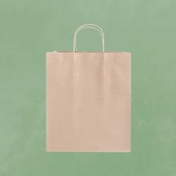Twisted Handle Paper Bags