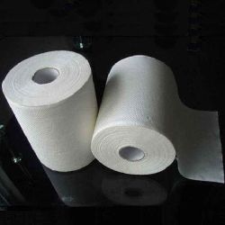 2 Ply Disposable Hand Towel Rolls for Washrooms