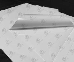 Self Adhesive Paper