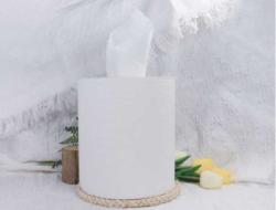 Paper Towel Rolls