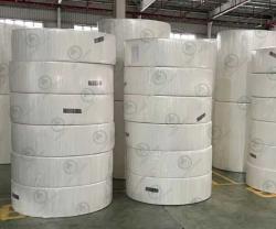 Toilet Tissue Paper Rolls