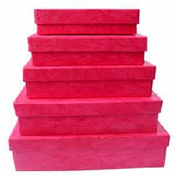 Gift Box Fuschia Color