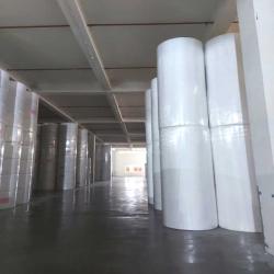 Toilet Paper Mother Rolls