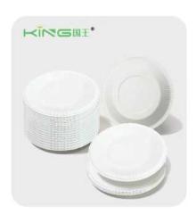 FSC Certificated Biodegradable Foodservice Paper Plate