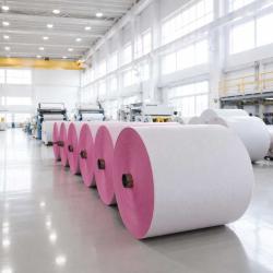 Carbonless Paper (NCR)
