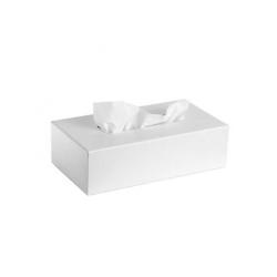 Tissue Paper (Facial, Toilet, Napkin, Kitchen/Hand Towels)