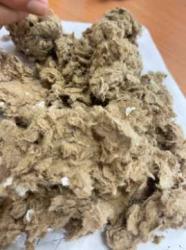 Recycled Dry Pulp AOCC#12