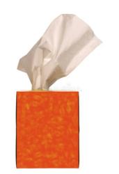 Facial Tissue Jumbo Rolls