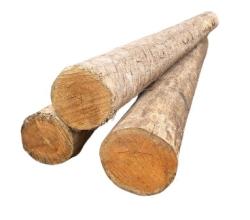 Pine Logs for Sawmill or Pulp Production.