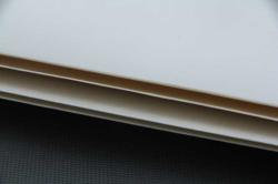 White Bleached Bagasse Pulp for Biodegradable Tablewares