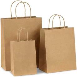 Shopping Paper Bags with Handles