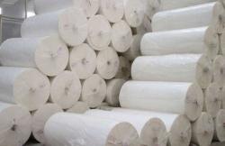 Facial Tissue Jumbo Rolls (Raw Materials)