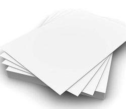 C1S Board(Coated One Side)