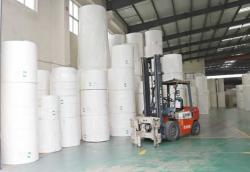 Toilet Paper Jumbo/Parent Reels