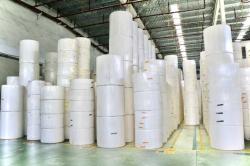 Toilet Paper Jumbo/Parent Reels