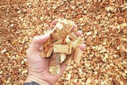 Wood Chips (Acacia / Eucalyptus)