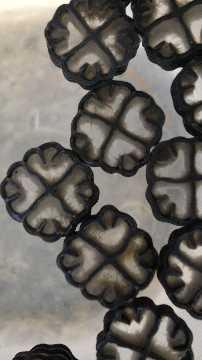 Moving Bed Biofilm Reactors (MBBR)