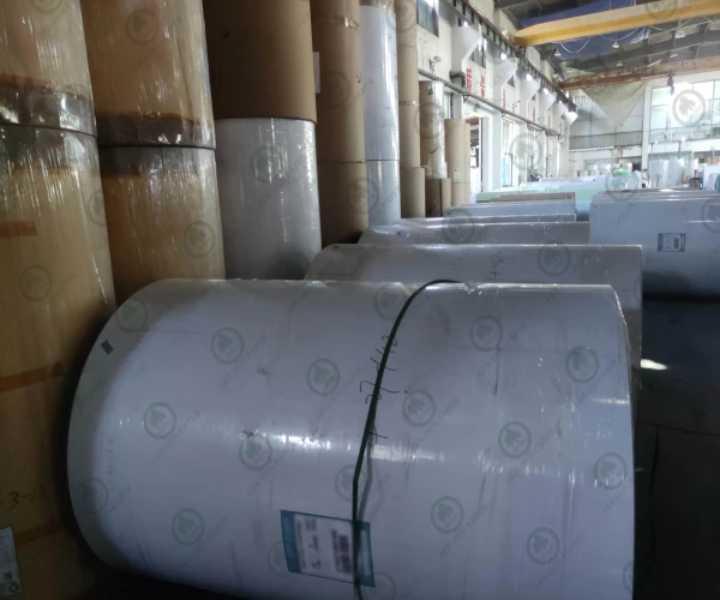 Double/ Single PE coated CupStock Board