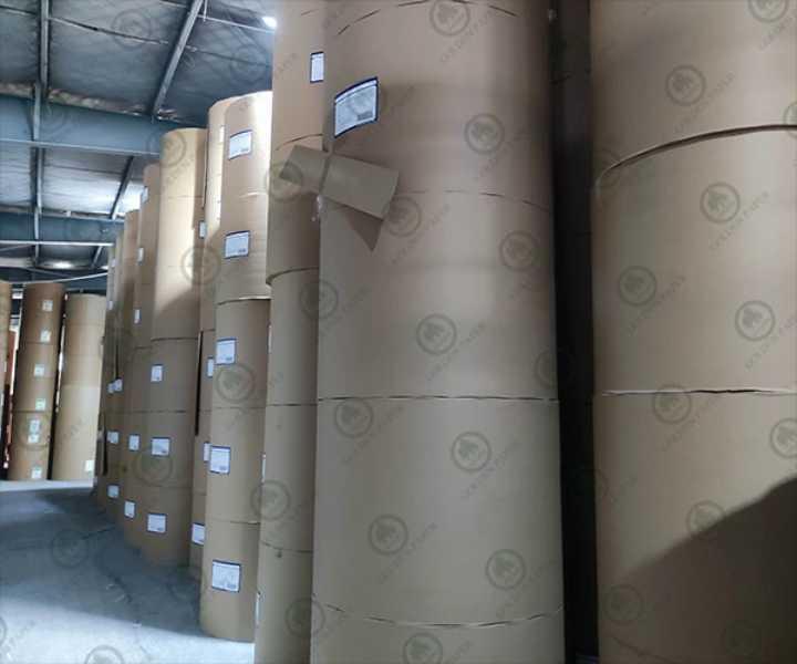 White Top Kraft Liner (WTL)