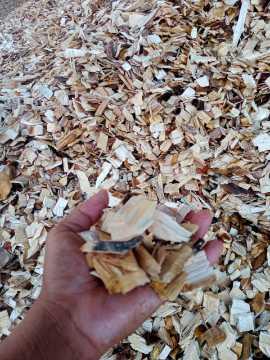 Acacia Wood Chips