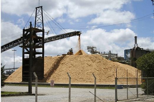 Wood Chips