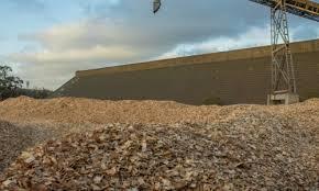 Wood Chips