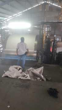 Chemical Free Biomass Pulp