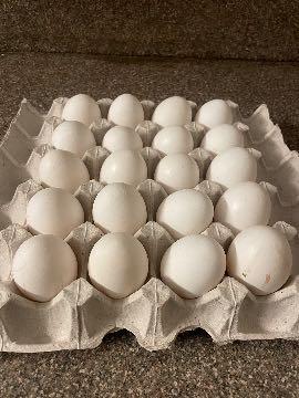 High Quality Egg Trays 