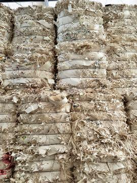 Poly Cup Stock Waste Paper