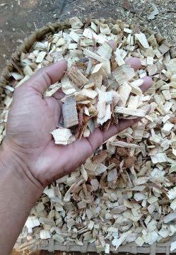 Eucalyptus Wood Chips 