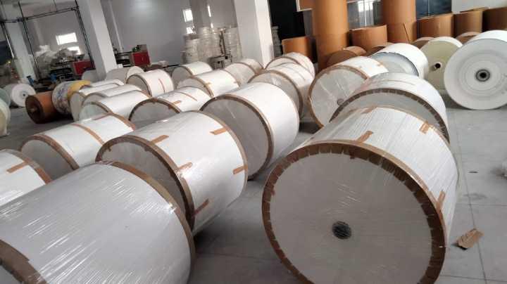 1PE and 2PE Coated Cup Stock 