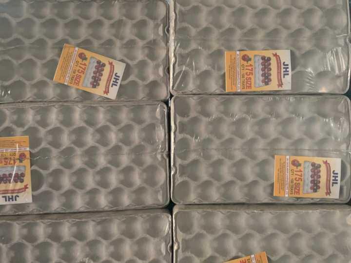 Pulp Molded Apple Trays