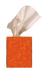 Facial Tissue Jumbo Rolls