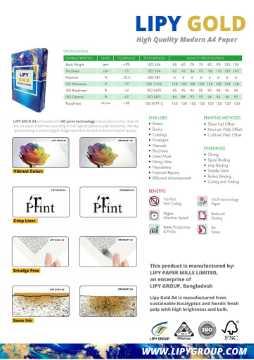 Lipy Gold A4 80 GSM