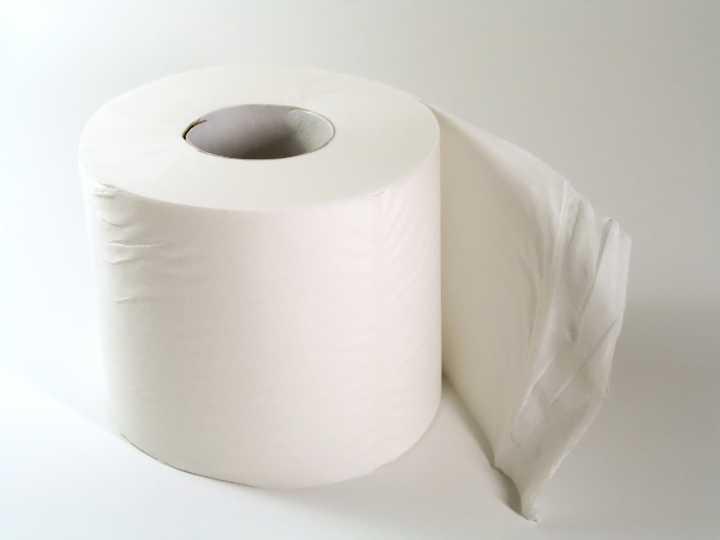 Toilet Tissue Rolls