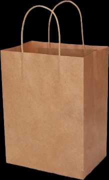 Twisted Handle Paper Bags