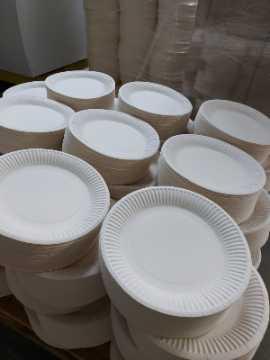 Paper Plates