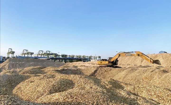 Wood Chips (Acacia / Eucalyptus / Pine)