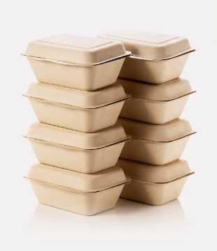 Bagasse Food Containers for Takeaway & Horeca